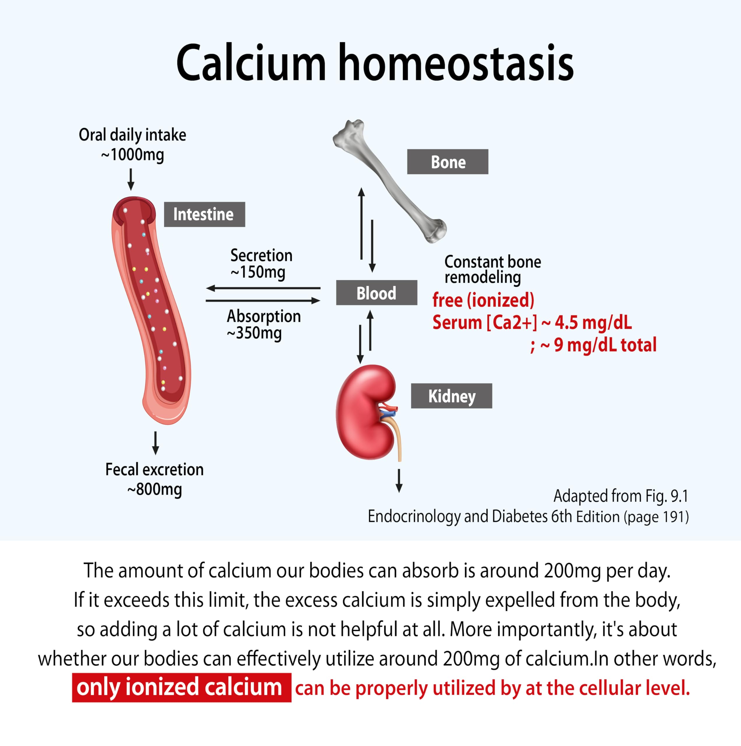 Stirring ionized CalMag powder in warm water to dissolve