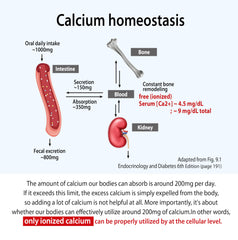 Stirring ionized CalMag powder in warm water to dissolve
