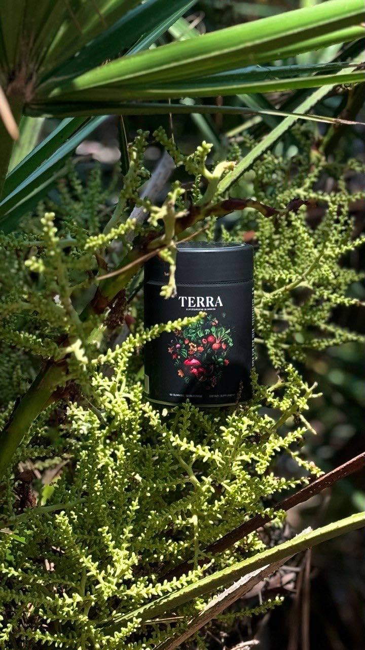 NAO Terra Supergreens turmeric-ginger photo suggests natural detox and energy balance.