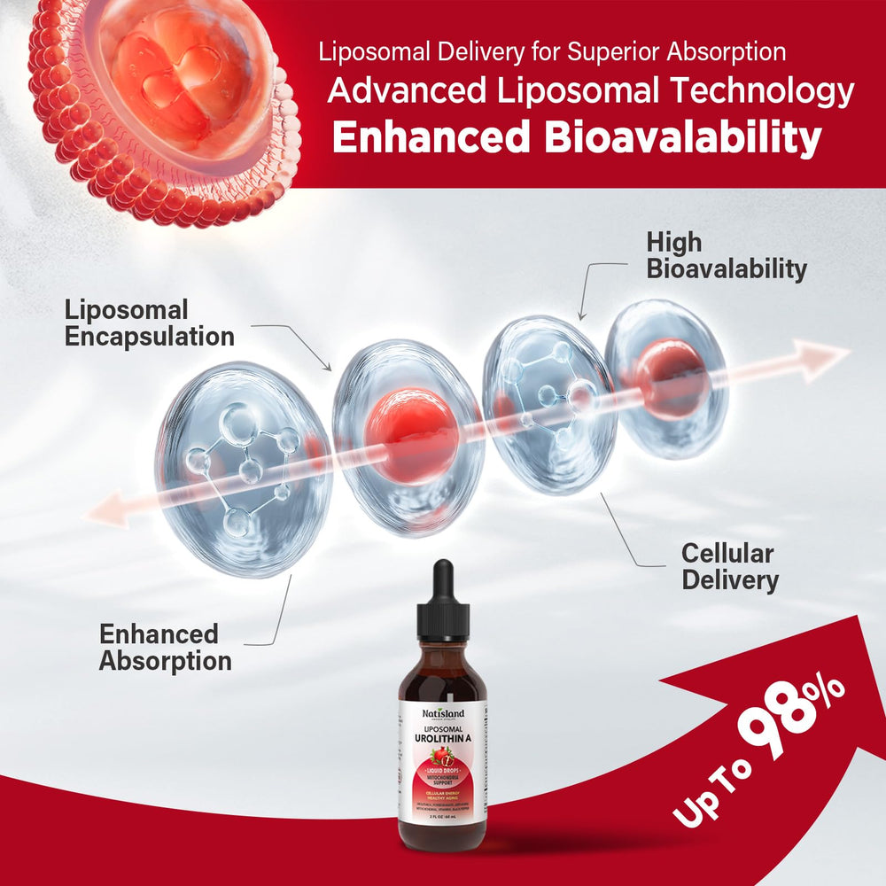 NATISLAND Urolithin A liquid close-up highlights capsule-free formula
