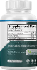Naticura Zinc Quercetin label highlighting the 4-in-1 formula.