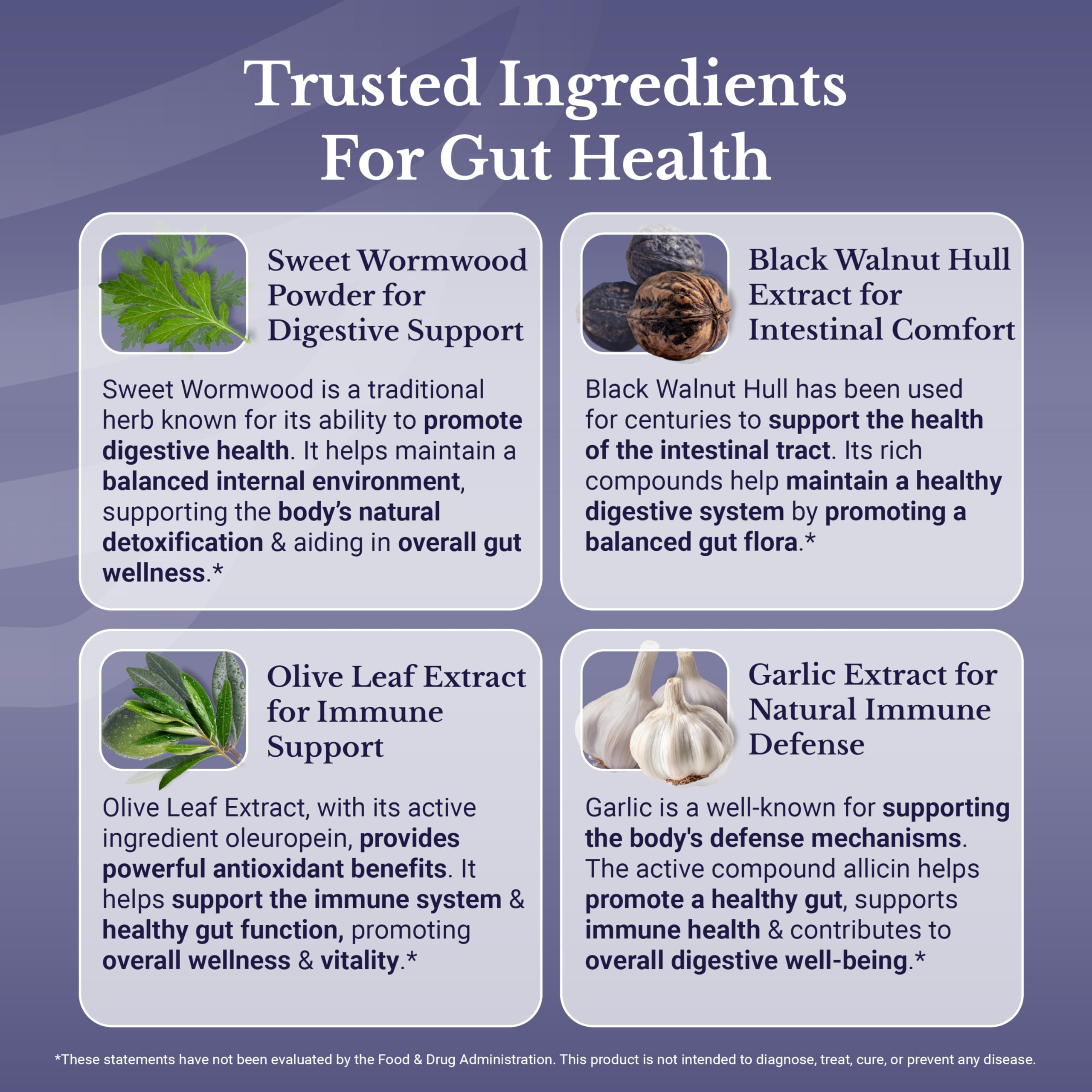 NATION HEALTH MD Cleanse24 papaya-onion-garlic visuals suggest gentle digestion.