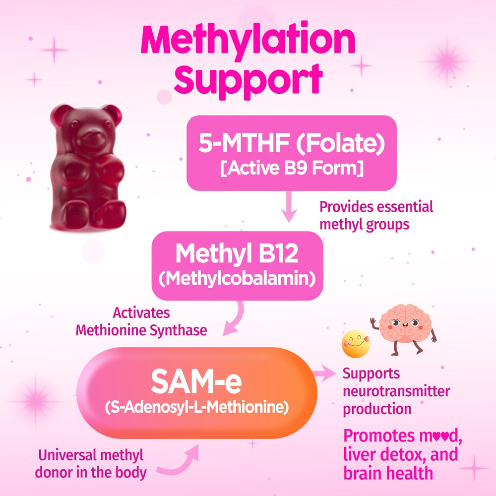 NATISLAND 60-count bottle on desk communicates long-lasting daily routine