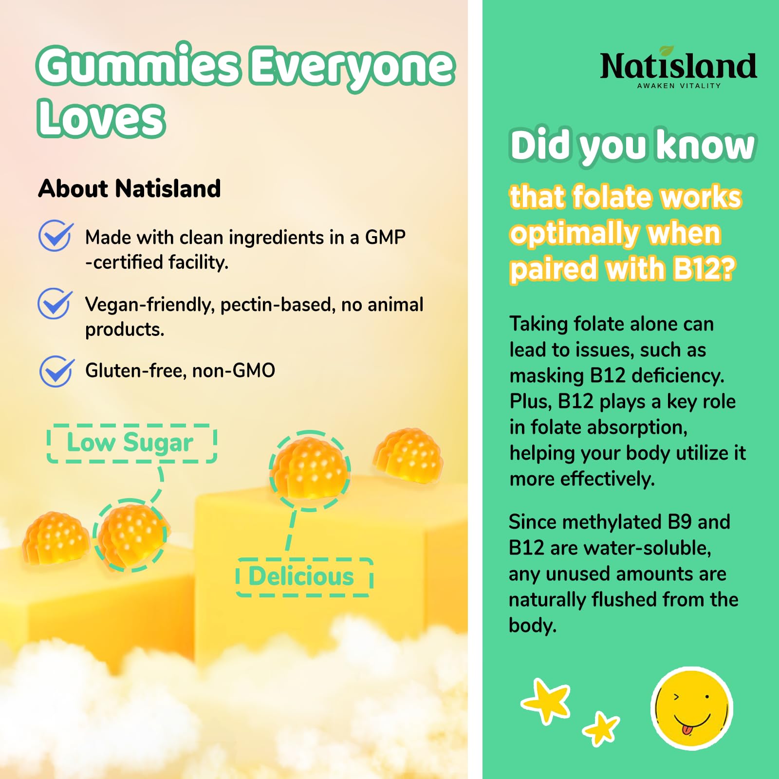 NATISLAND packaging highlights methylfolate and B12 ingredients.