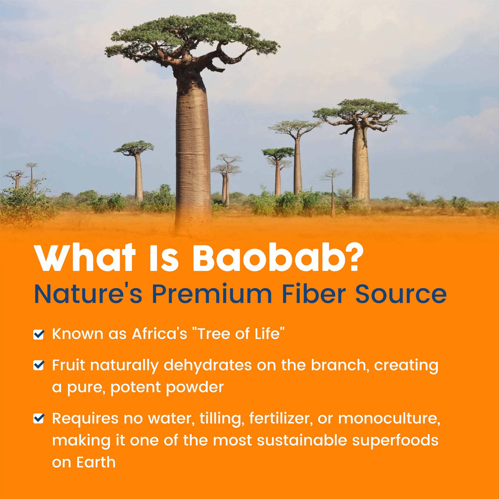 NativePath Baobab Powder dissolving in water—quick, smooth mix.