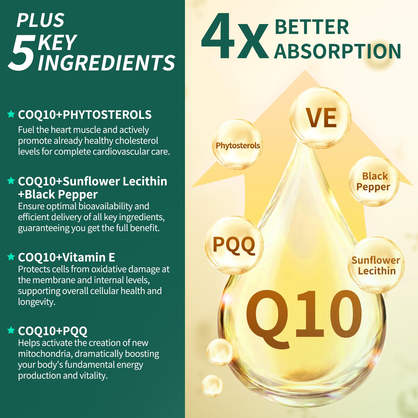 Natprime CoQ10 with black pepper extract bottle shows bioavailability boost