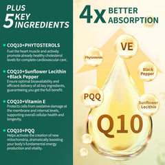Natprime CoQ10 with black pepper extract bottle shows bioavailability boost