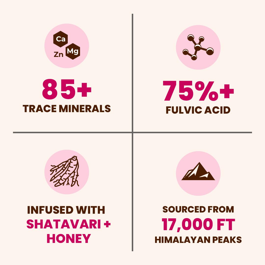 Natruveda Shilajit honey stick packaging shows convenient 300 mg dose