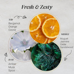 Natscent Citrus Burst diffuser setup in a cozy living room for ambient scent.