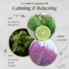 Natscent Lavender Oil label close-up highlighting IFRA-certified quality