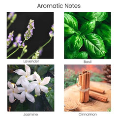 Natur IX Calming Soy Candle view with lavender-basil-jasmine, creating serene ambiance.
