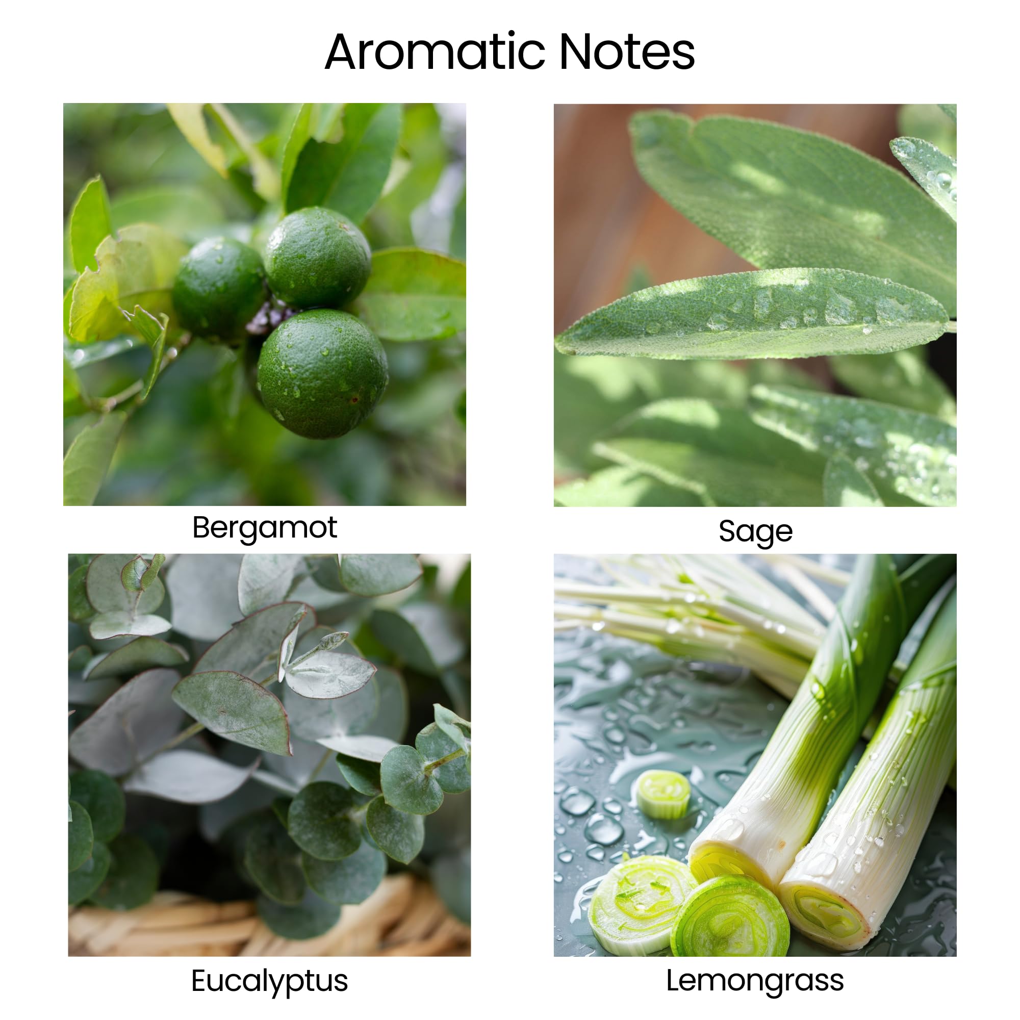 Natur IX sage and bergamot aromatherapy blend close-up highlights calming notes.