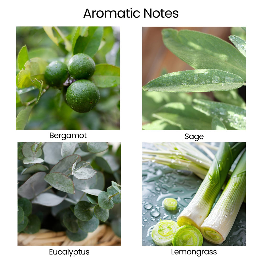 Natur IX sage and bergamot aromatherapy blend close-up highlights calming notes.
