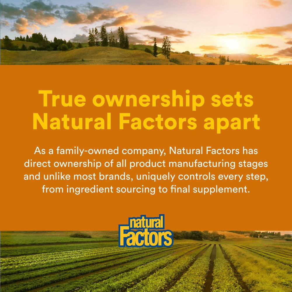 Natural Factors 90 tablets packaging showing daily supplement