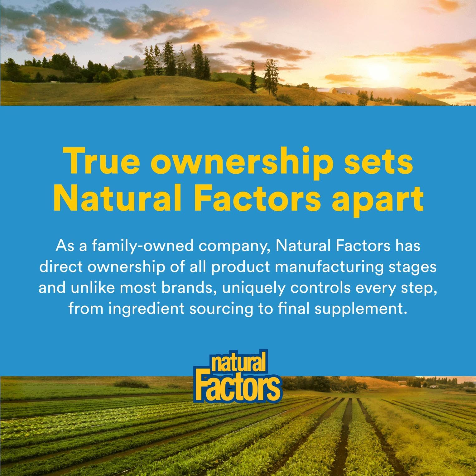 Natural Factors Acetyl-L-Carnitine brand logo reinforces product authenticity