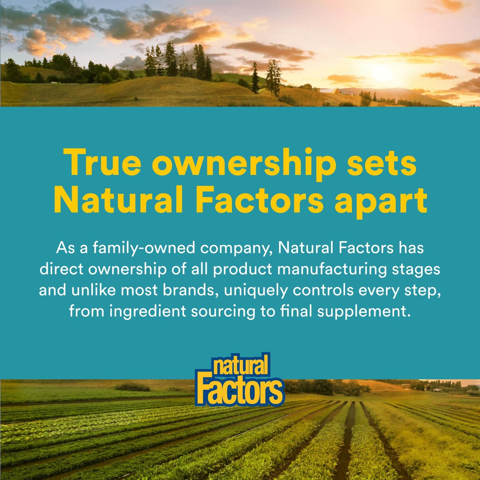 Natural Factors Alpha-Lipoic Acid 200mg daily-use scene emphasizing consistency