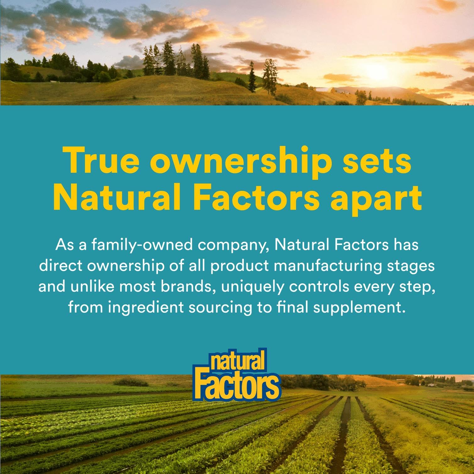 Natural Factors Alpha-Lipoic Acid + B 600 mg benefits infographic.