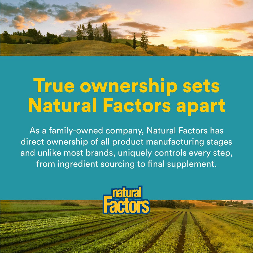 Natural Factors Alpha-Lipoic Acid + B 600 mg benefits infographic.
