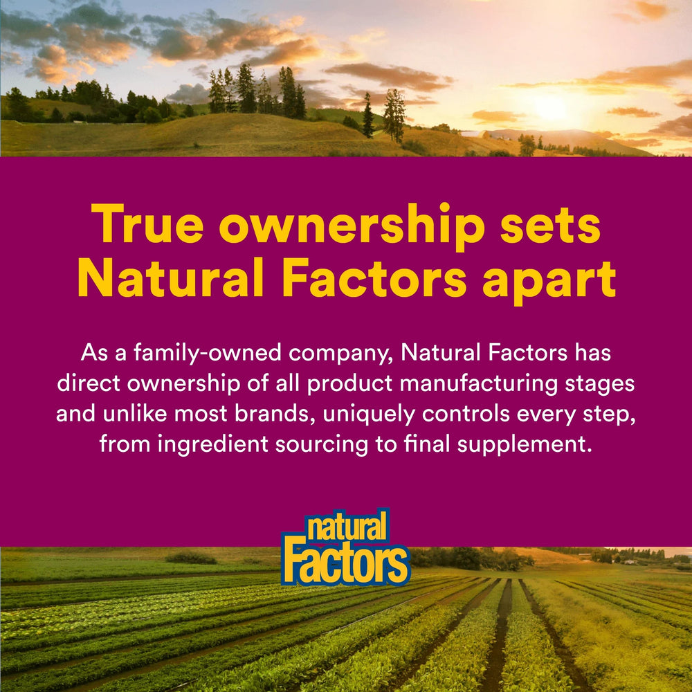 Natural Factors B12 vegetarian label shows plant-based sourcing.