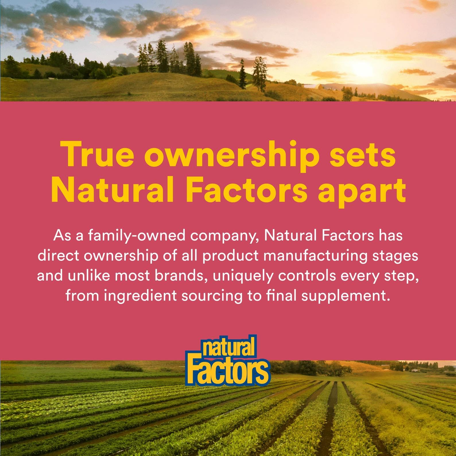 Natural Factors B Corp seal indicating responsible production