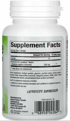 Natural Factors Berberine LipoMicel Matrix capsules for daily metabolic support