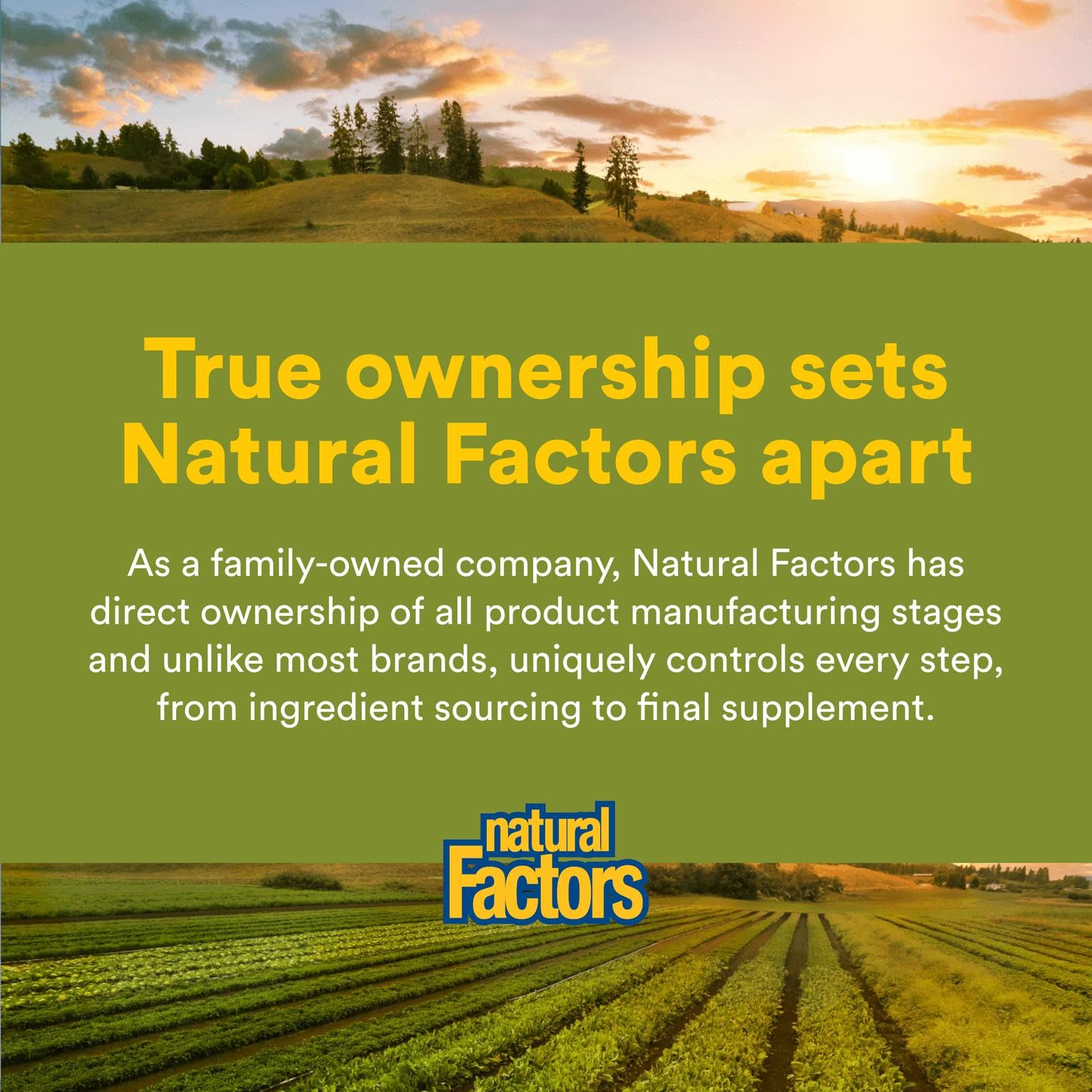 Natural Factors bottle on a shelf suggesting everyday wellness routine
