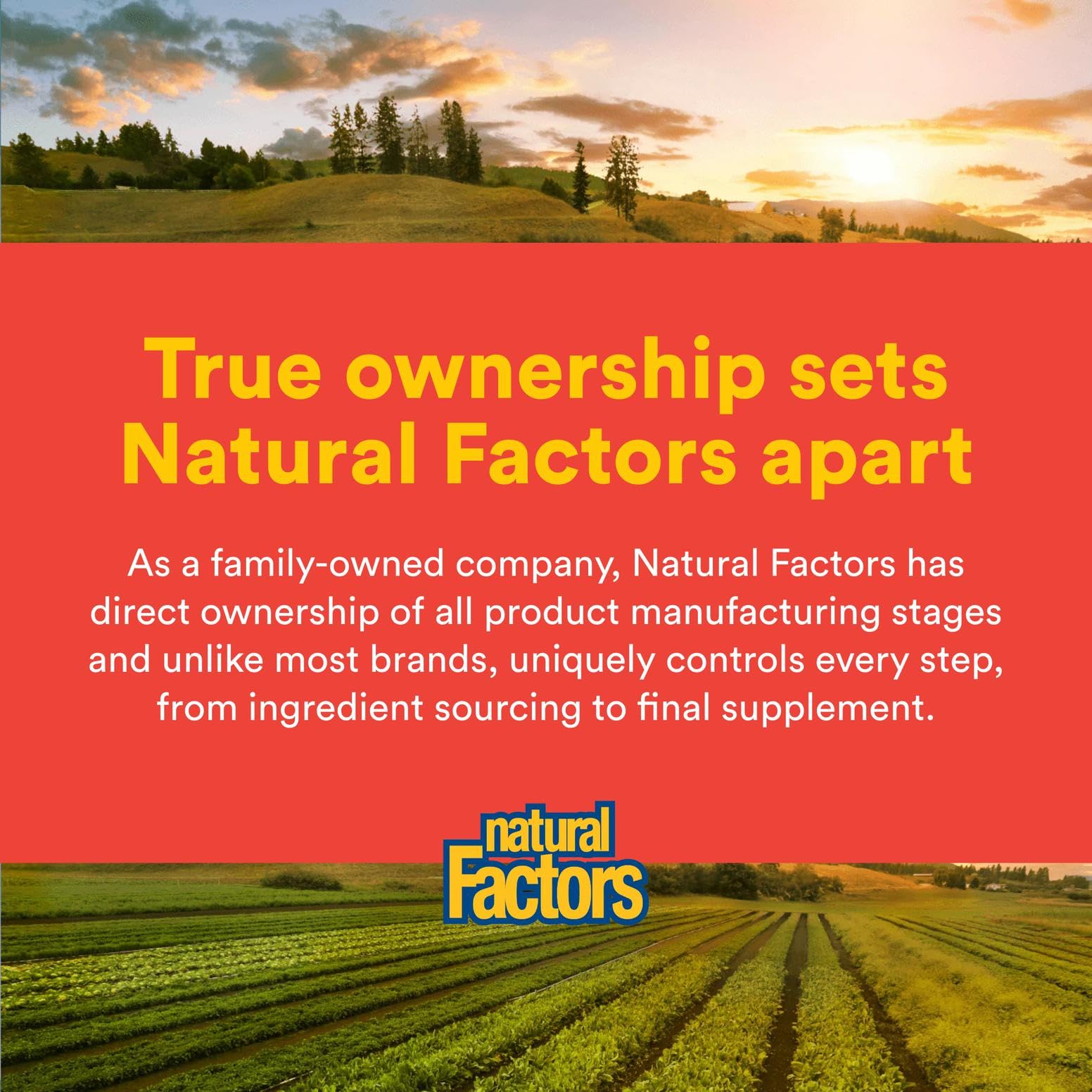 Natural Factors C Extra + Quercetin recyclable container shown for eco-conscious users.