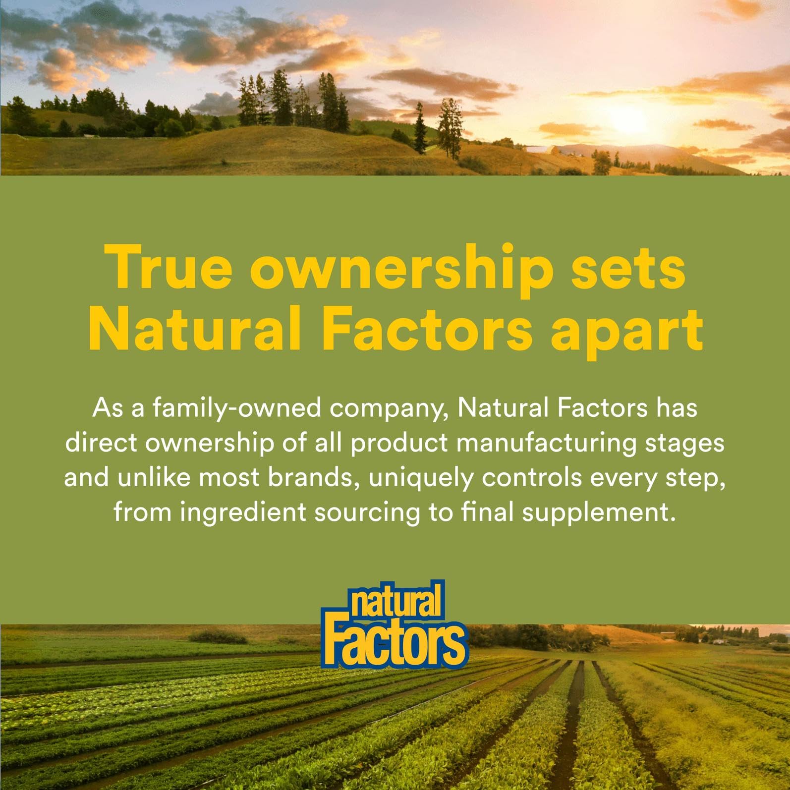 Natural Factors capsules close-up showing convenient softgel form.
