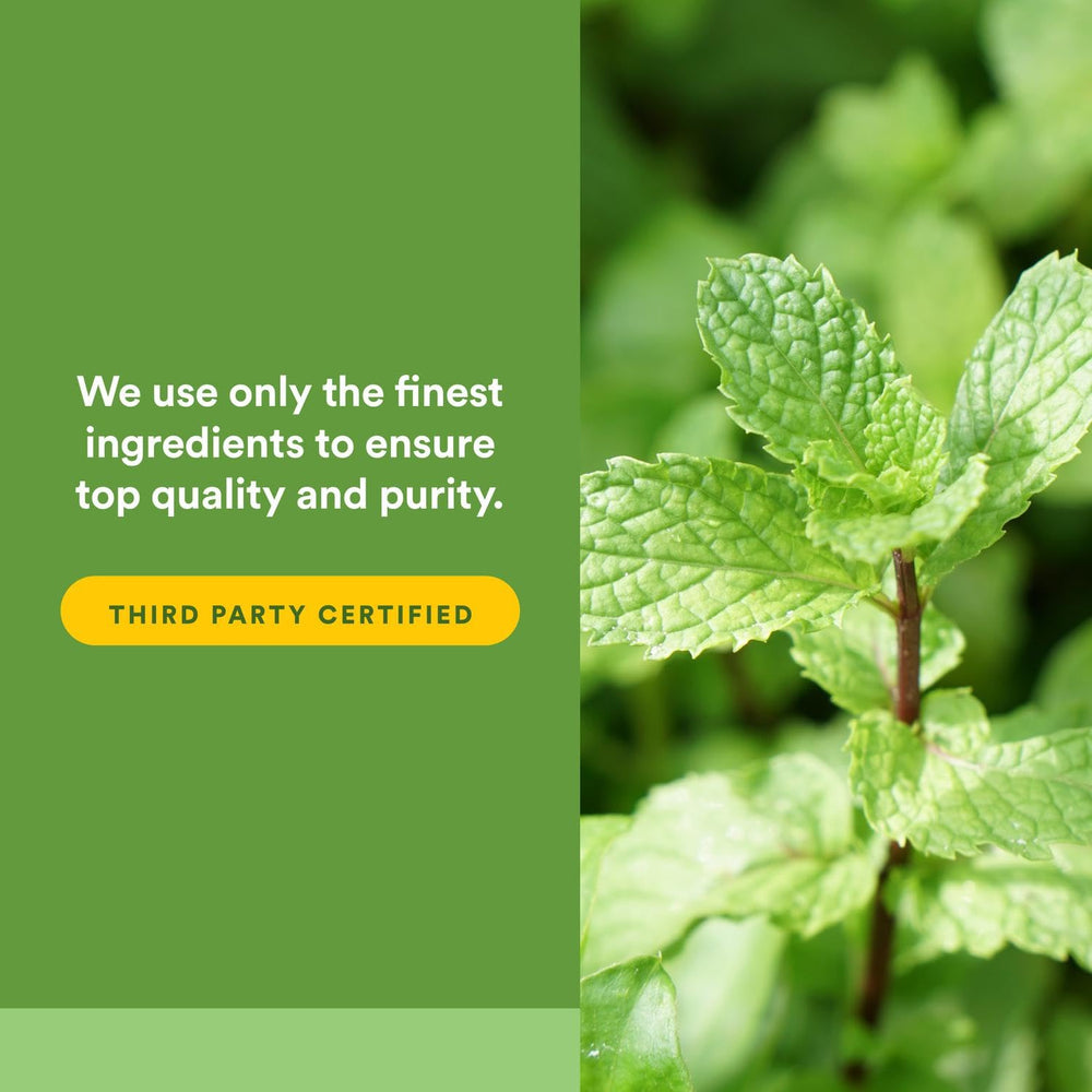Detail of caraway seed used in Natural Factors formula