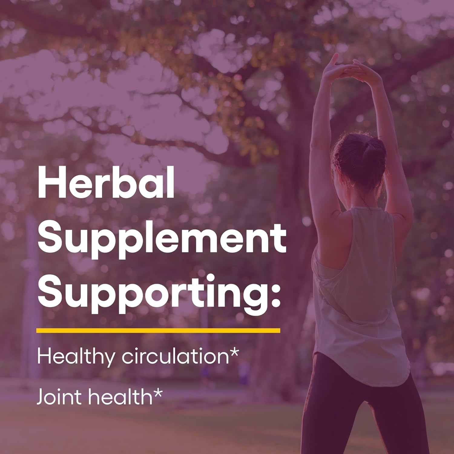 Natural Factors Celery Seed Extract packaging with capsule details for healthy circulation.