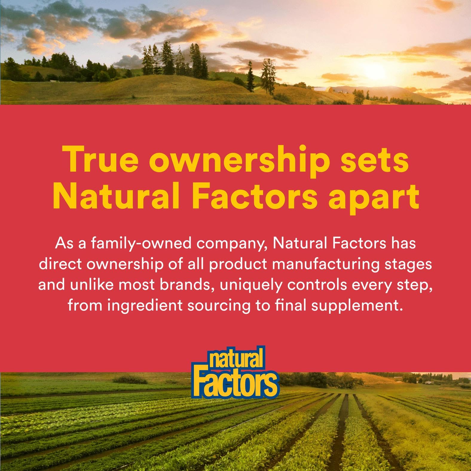 Natural Factors Citrus Bioflavonoids extraction process ensuring purity and potency.