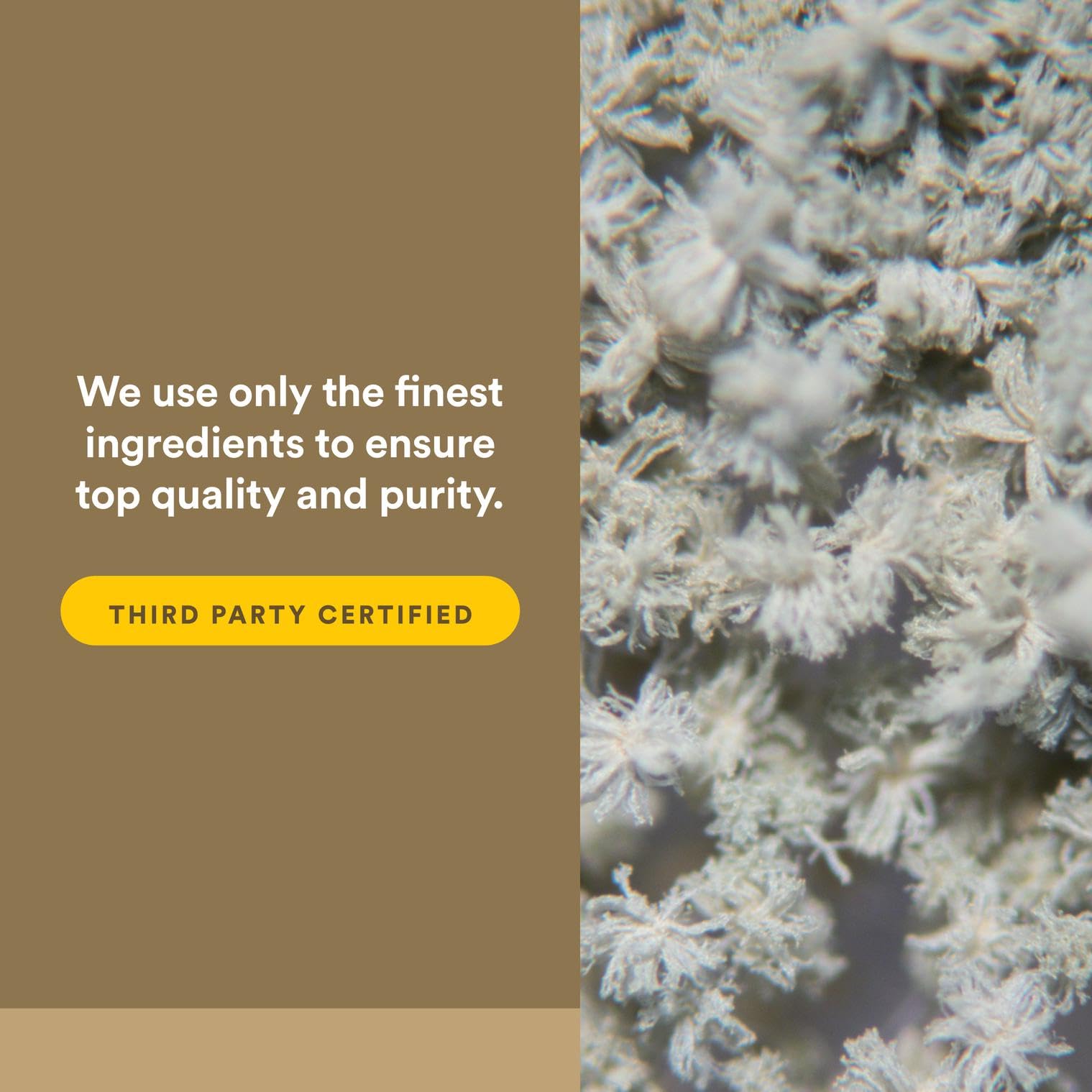 Natural Factors logo with purity seal emphasizing quality.