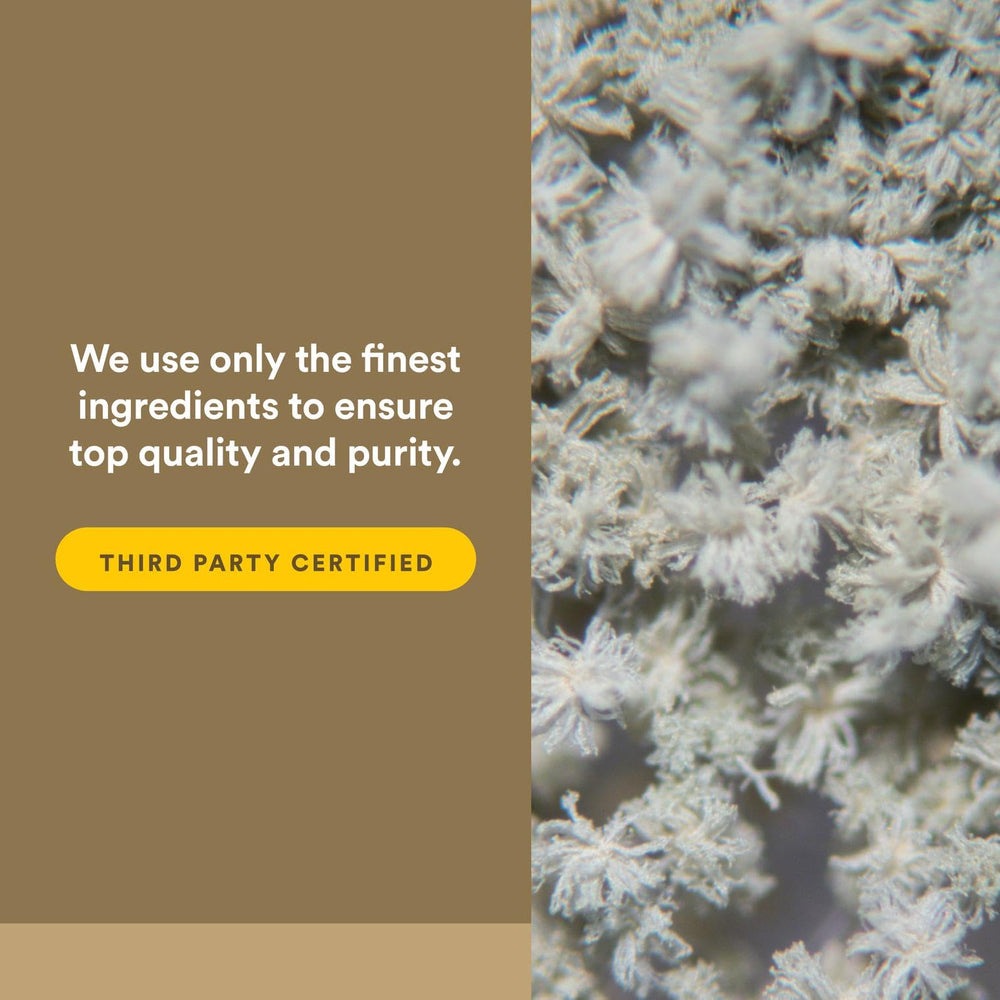 Natural Factors logo with purity seal emphasizing quality.