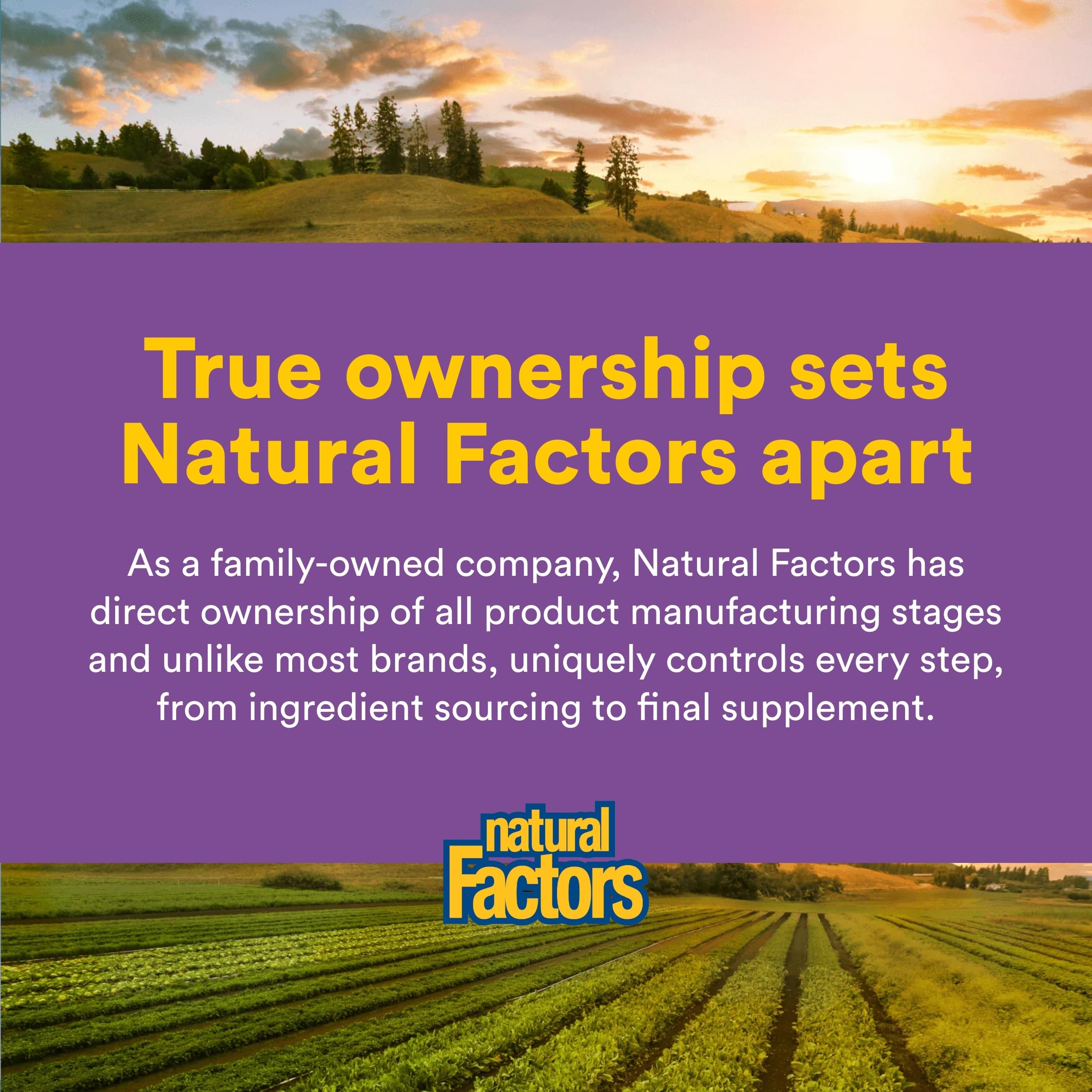 Natural Factors Coenzima Q10: soporte energético celular en uso diario