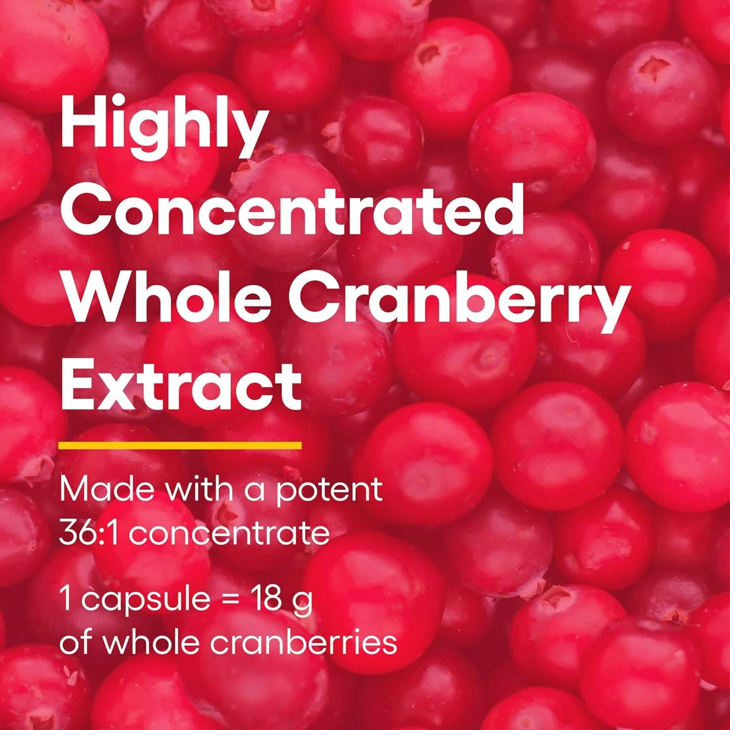 CranRich capsules close-up emphasizing high-potency cranberry concentrate.