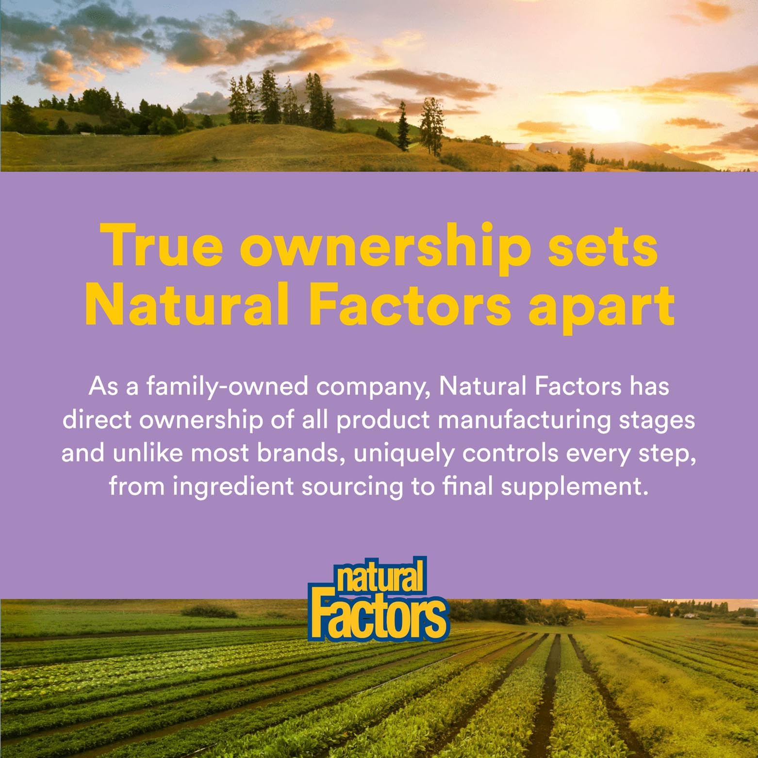 Natural Factors vitamin E supplement in a daily wellness routine.