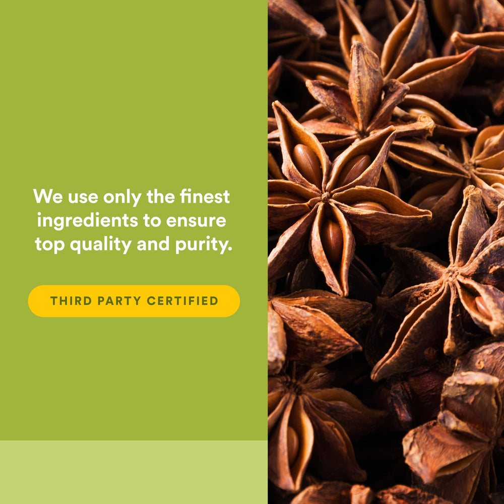 Natural Factors DGL chewable label detail shows key benefits and vegan formula