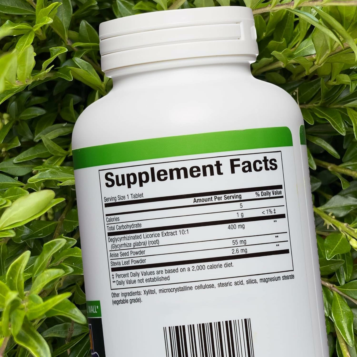 Close-up of Natural Factors DGL chewable tablets supporting stomach comfort