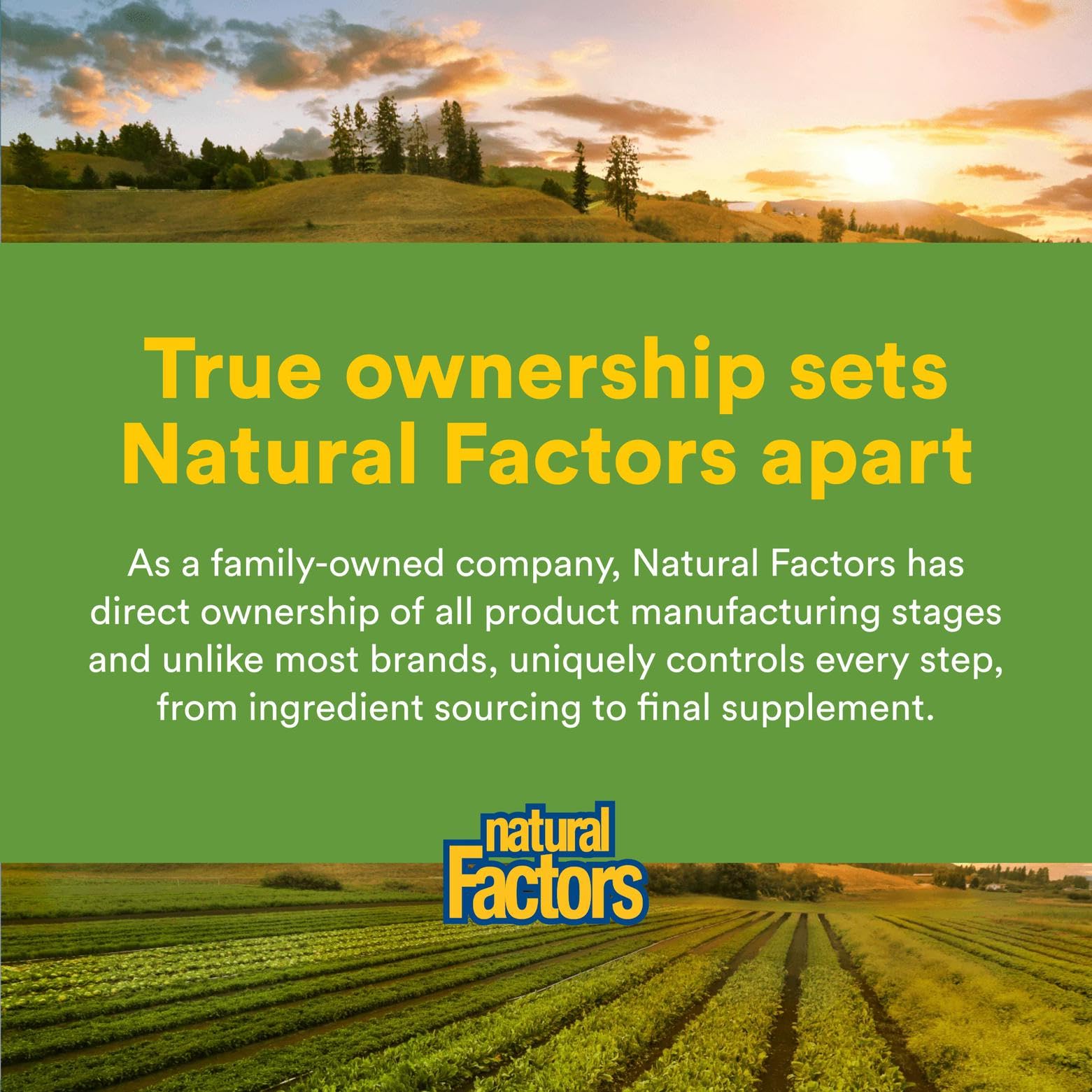 Digestive-use scene featuring Natural Factors product on kitchen counter