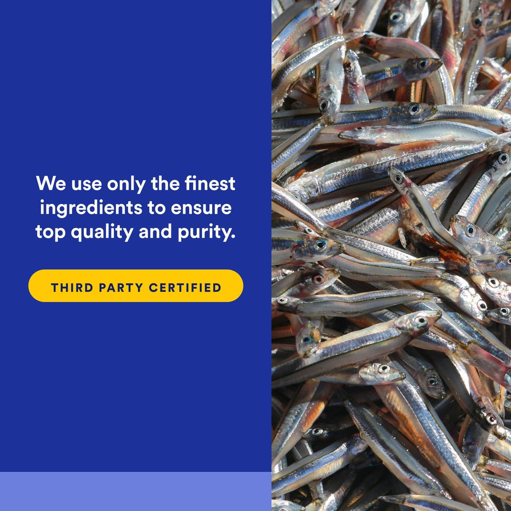 Natural Factors Enteripure softgels image showing no fishy aftertaste promise