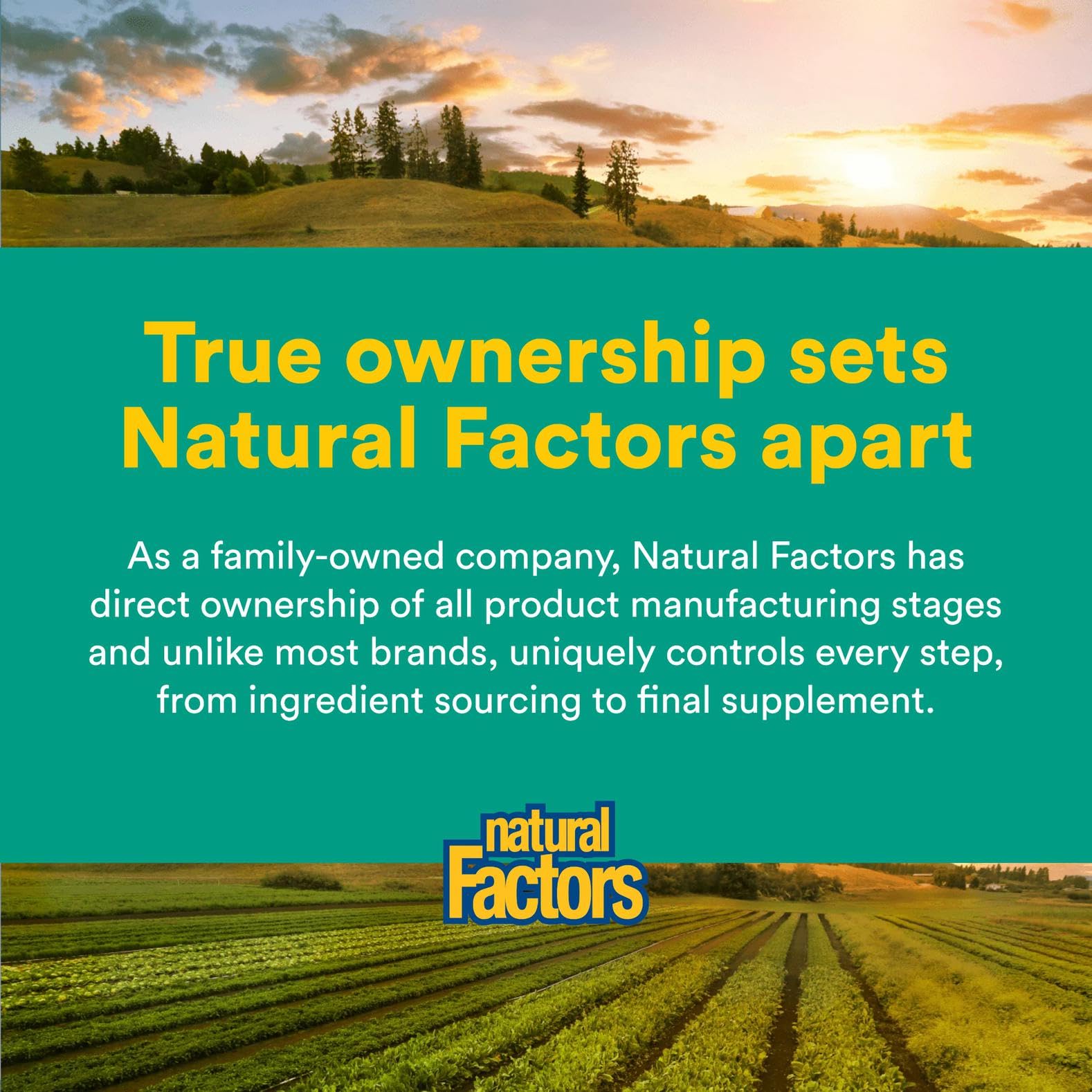 Natural Factors 3 Brains environmental protection helps nourish eyes against pollutants