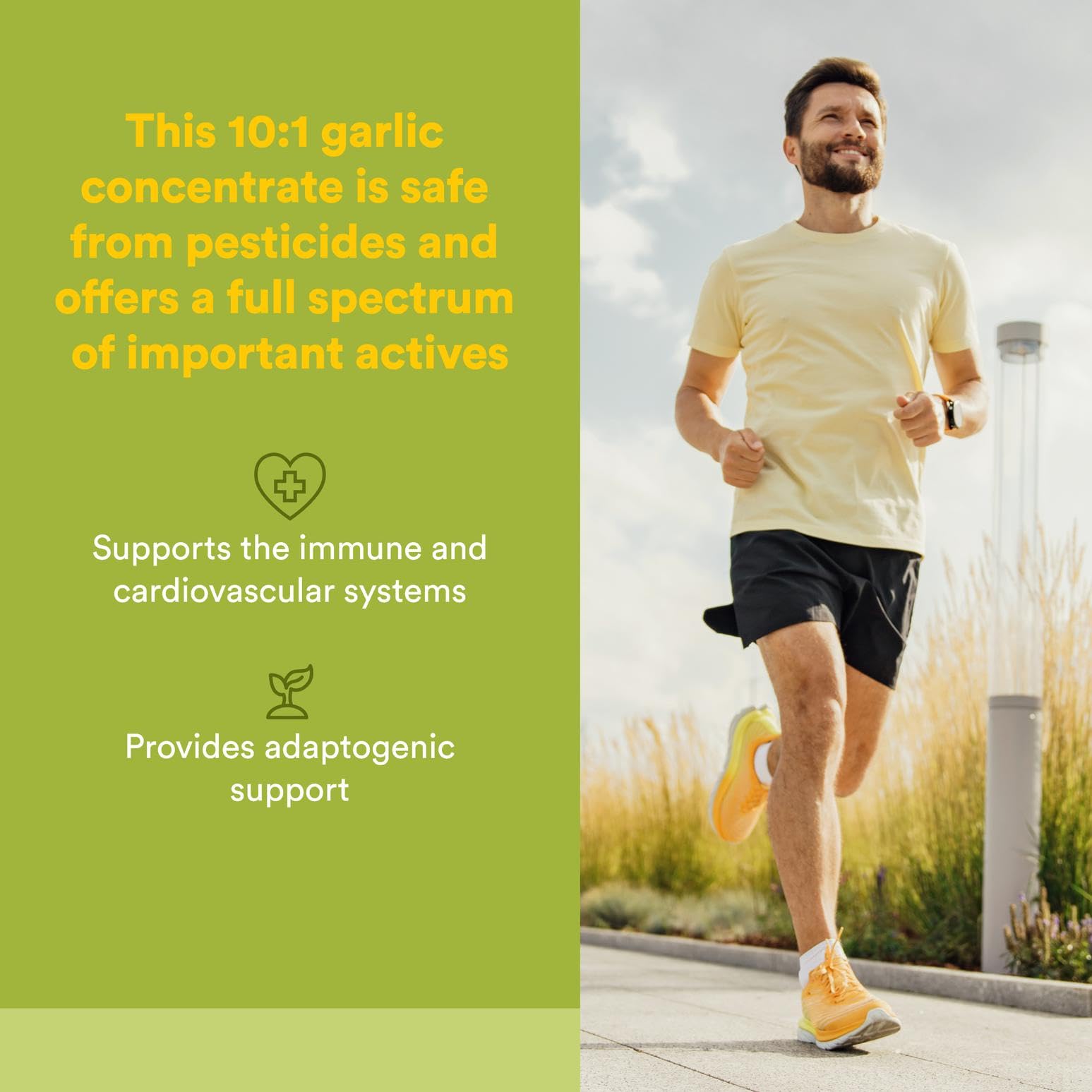 Natural Factors GarlicRich capsule close-up highlighting delayed-release design for steady absorption.