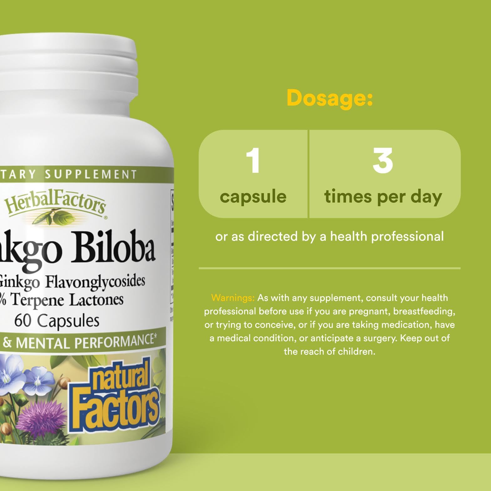 Close-up of HerbalFactors Ginkgo Biloba capsule coating for reliable delivery.