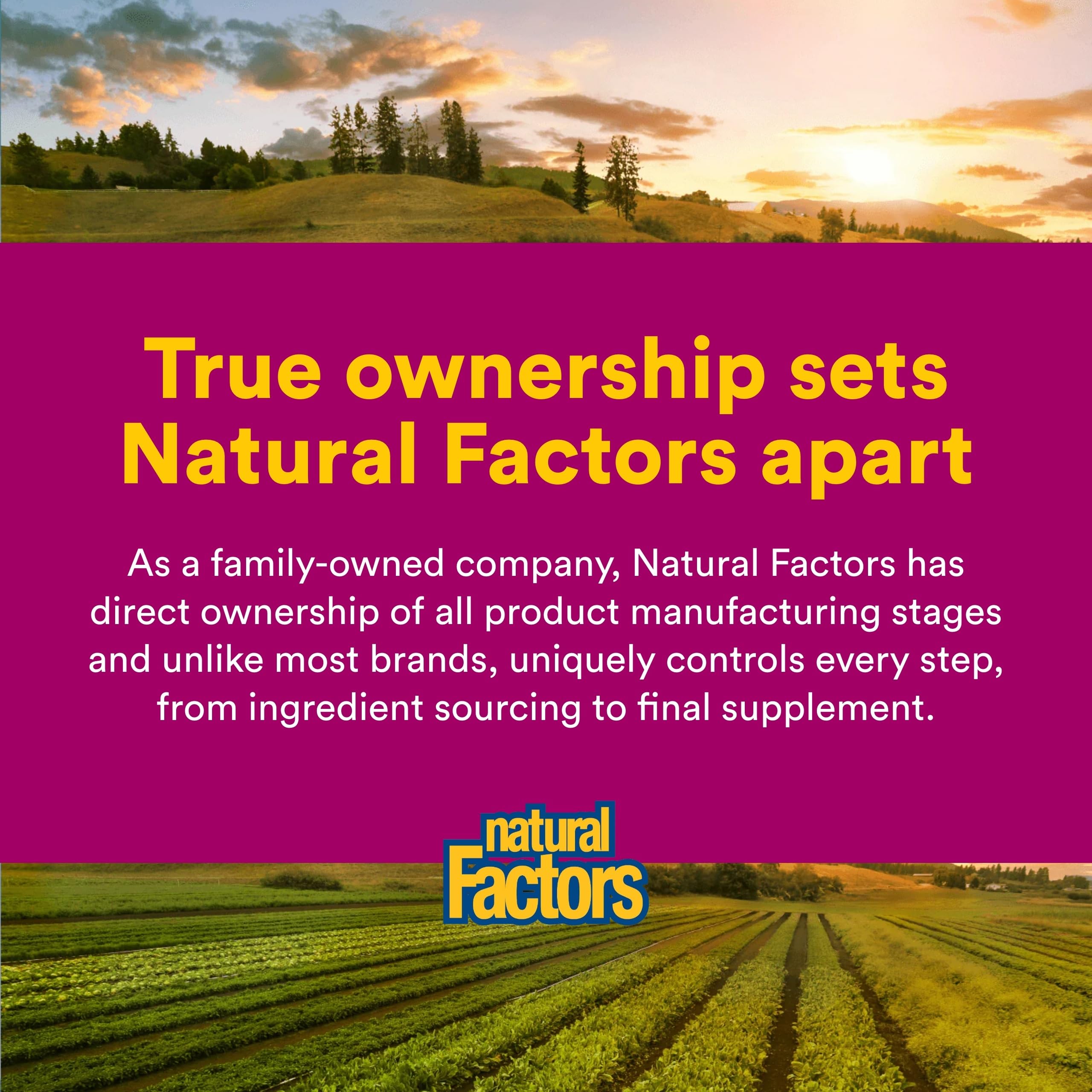 Natural Factors Immune support visual hinting at potential wellness benefits