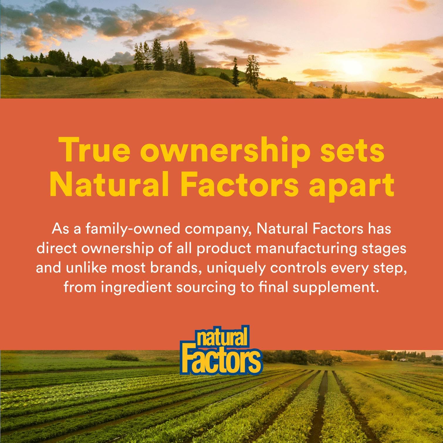 Natural Factors bottle open with capsules for quick daily dose.