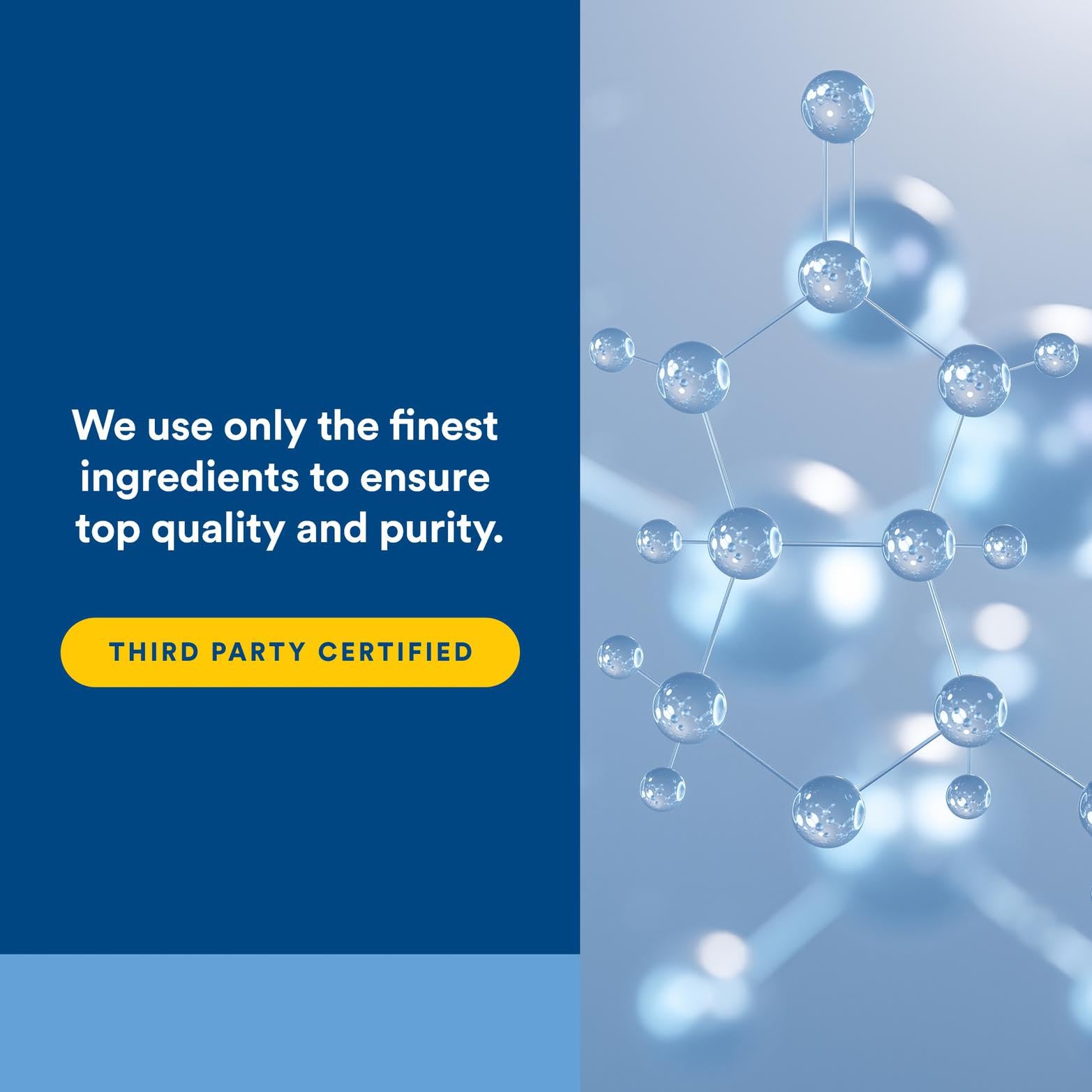Natural Factors L-Lysine production facility showing end-to-end quality control