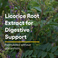 Licorice root extract in Natural Factors formula for digestive support