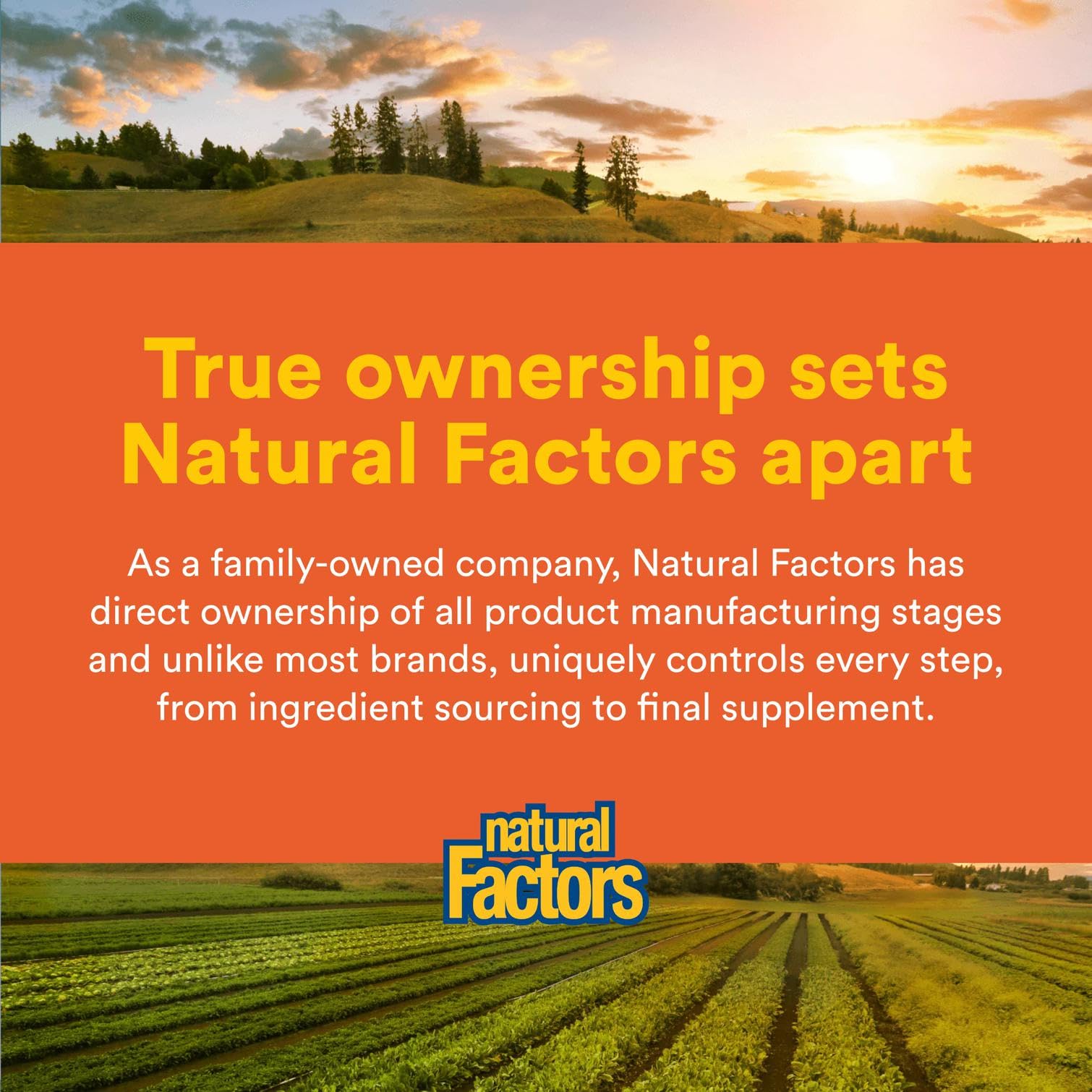 Scene of Natural Factors Liposomal Vitamin C softgels ready for daily wellness routine