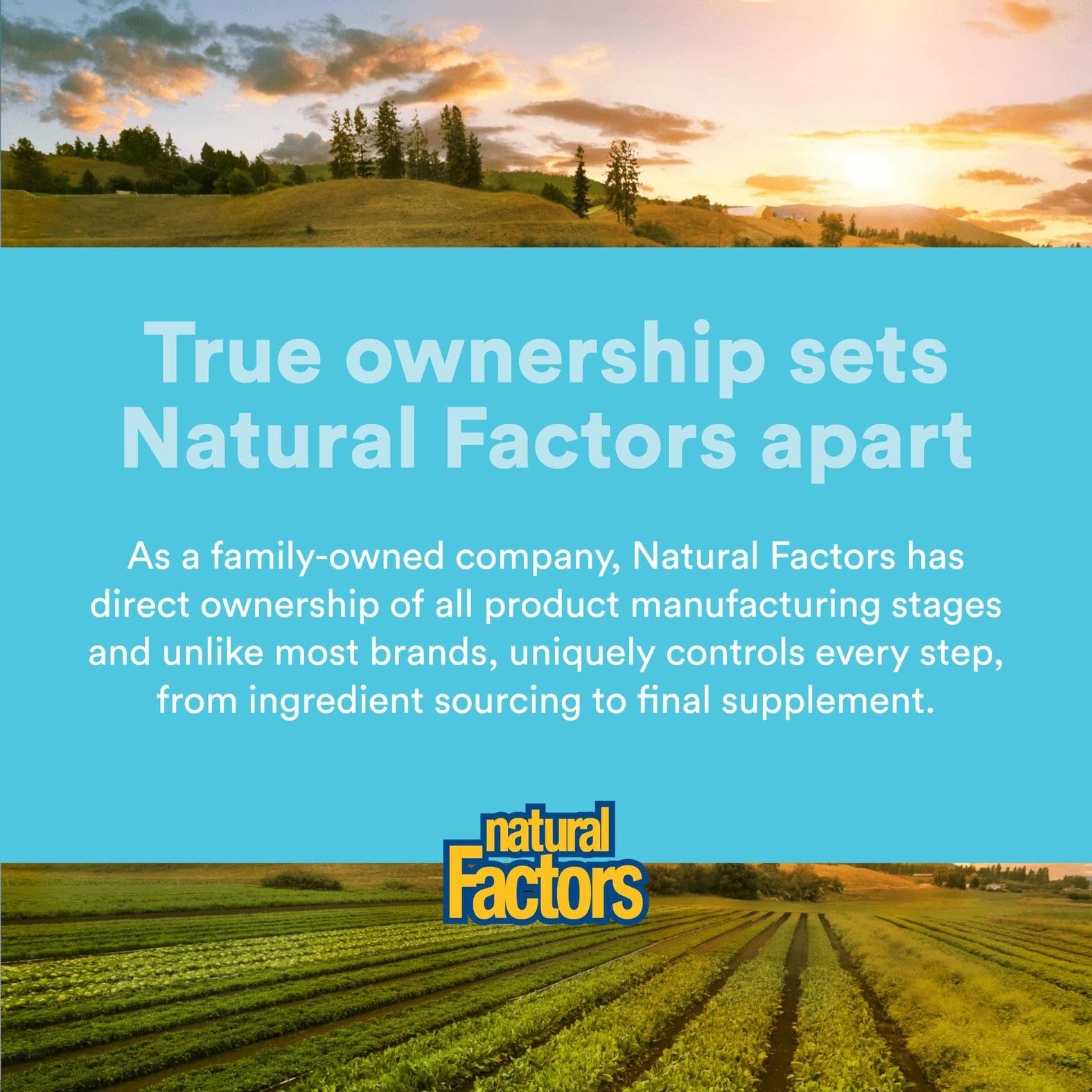 Natural Factors MenoSense packaging communicates sustainability and a quality-driven wellness routine.