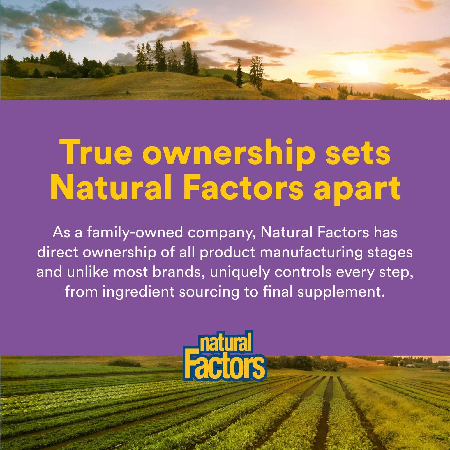 Natural Factors Mind Retreat used during an evening routine to promote calm focus.